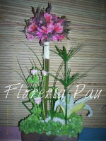 /album/arreglos-florales/dsci0067-jpg/