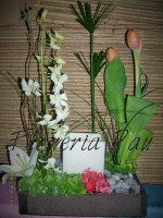 /album/arreglos-florales/dsci0060-jpg1/