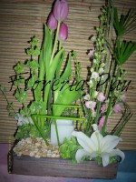 /album/arreglos-florales/dsci0063-jpg/