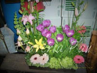 /album/arreglos-florales/dsci0028-jpg/